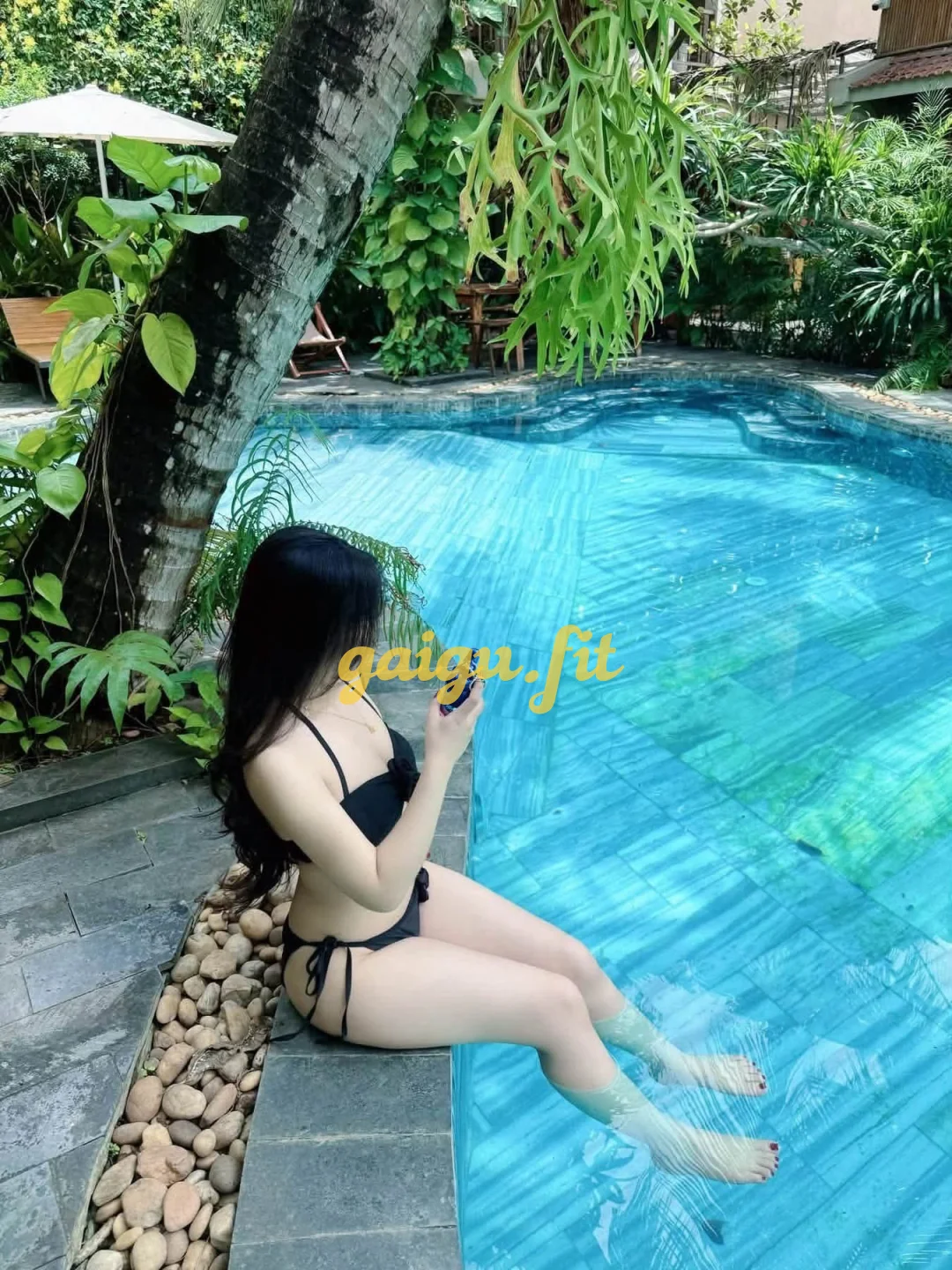 Ảnh bài viết