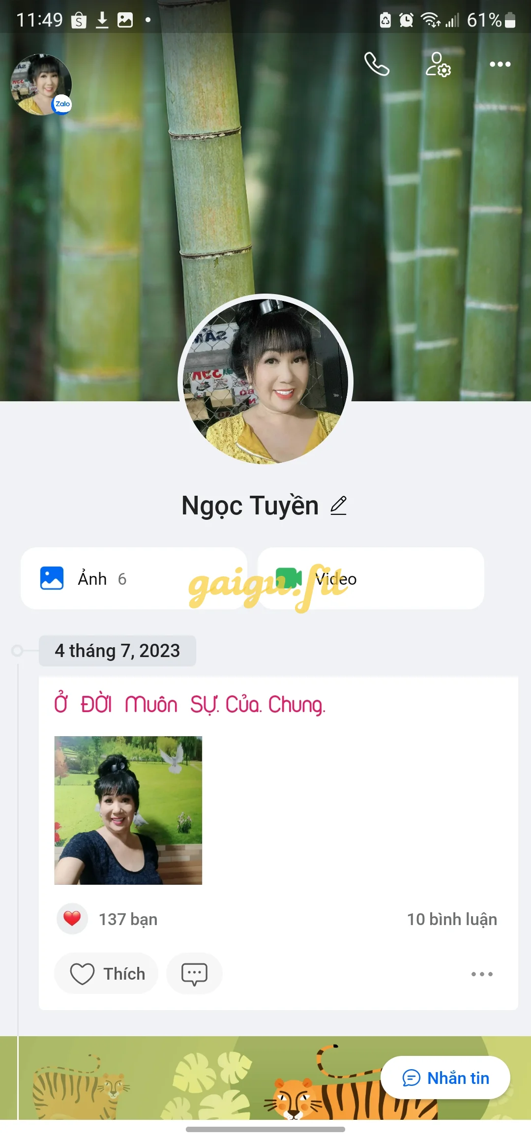Ảnh bài viết