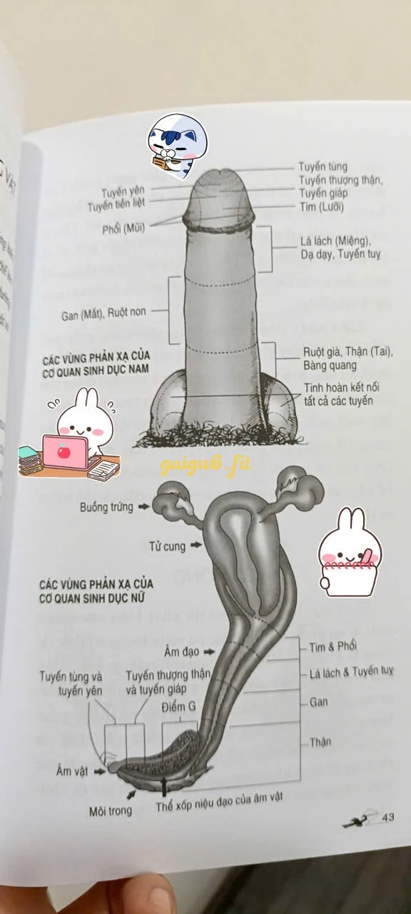 Ảnh bài viết
