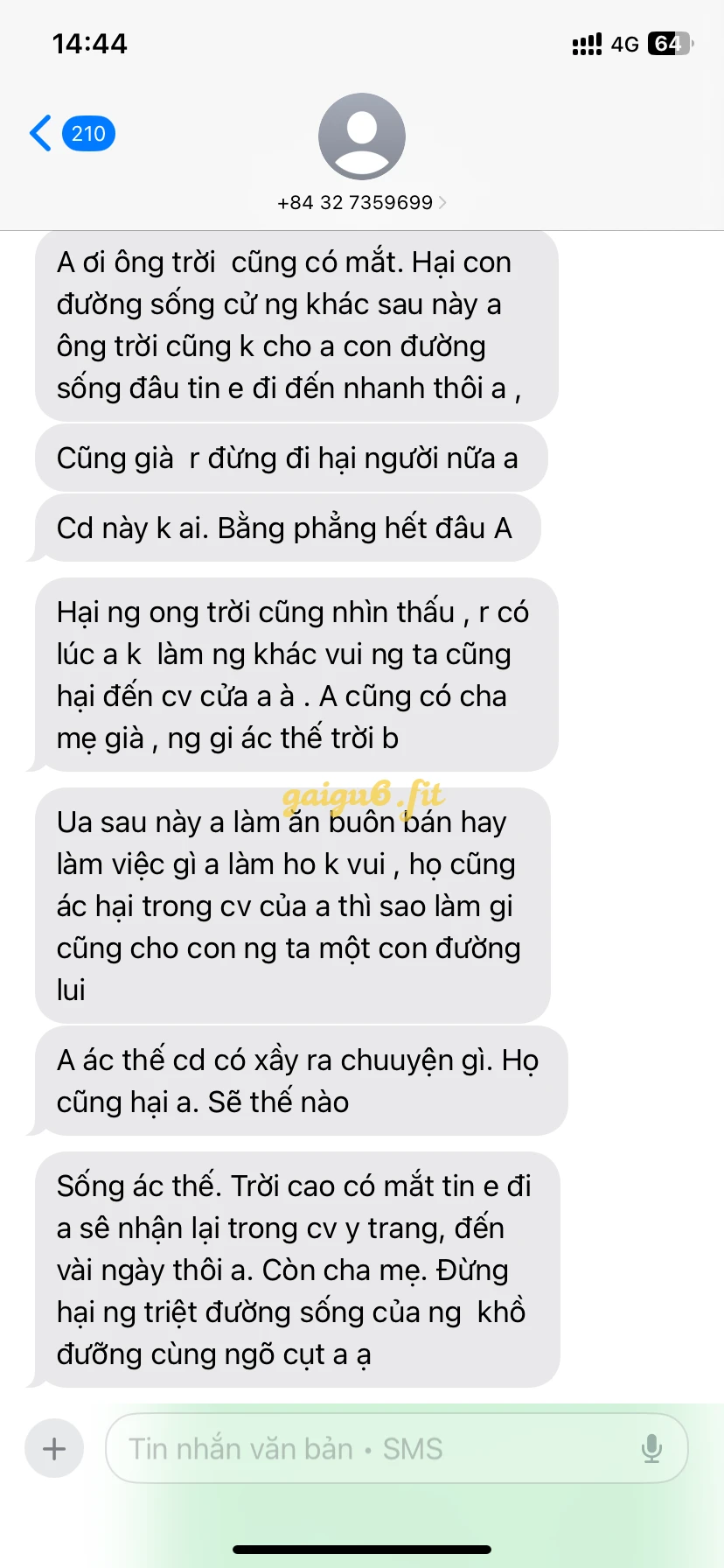 Ảnh bài viết