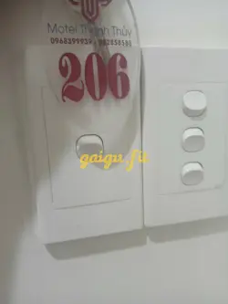 Ảnh đánh giá gái gọi