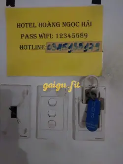 Ảnh đánh giá gái gọi