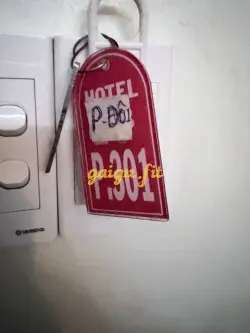 Ảnh đánh giá gái gọi
