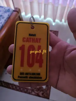 Ảnh đánh giá gái gọi