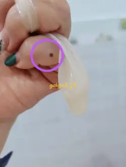 Ảnh đánh giá gái gọi