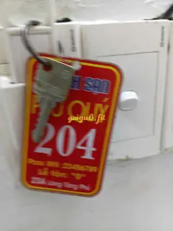Ảnh đánh giá gái gọi