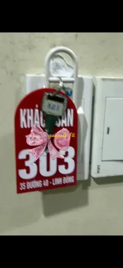 Ảnh đánh giá gái gọi