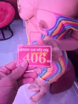 Ảnh đánh giá